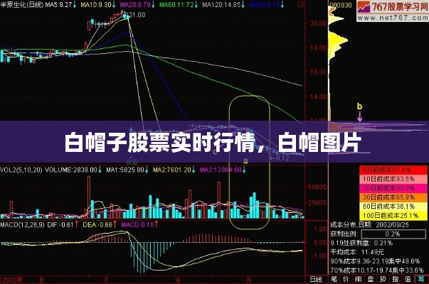 白帽子股票实时行情，白帽图片 
