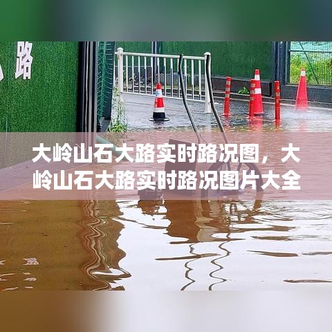 技术支持 第206页