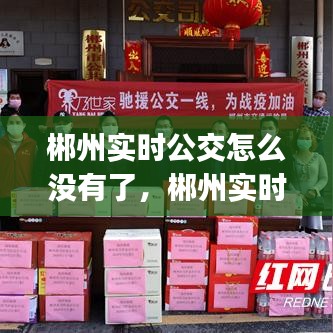 郴州实时公交怎么没有了，郴州实时公交app 