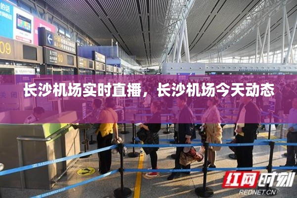 技术支持 第203页