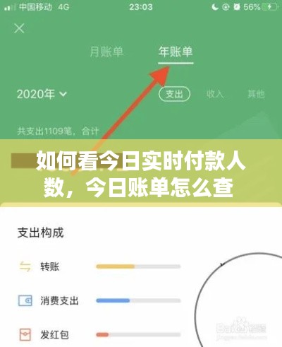 如何看今日实时付款人数，今日账单怎么查 