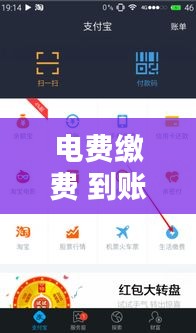 电费缴费 到账实时，电费缴费 到账实时到账 