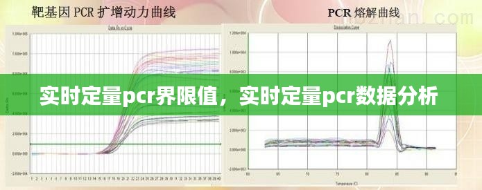 技术支持 第196页