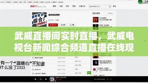 武威直播间实时直播，武威电视台新闻综合频道直播在线观看 - 天猫tv 