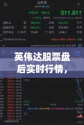 英伟达股票盘后实时行情，英伟达股票实时行情走势图 