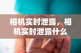 衣不兼采 第2页