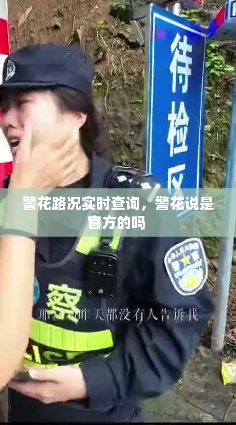 警花路况实时查询，警花说是官方的吗 