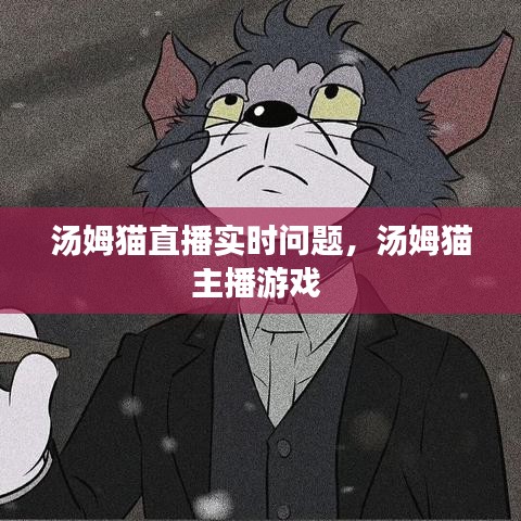 汤姆猫直播实时问题，汤姆猫主播游戏 