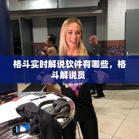 格斗实时解说软件有哪些，格斗解说员 