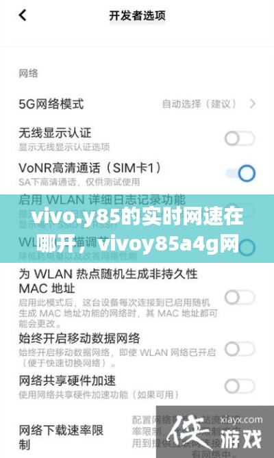 vivo.y85的实时网速在哪开，vivoy85a4g网络哪里设置 