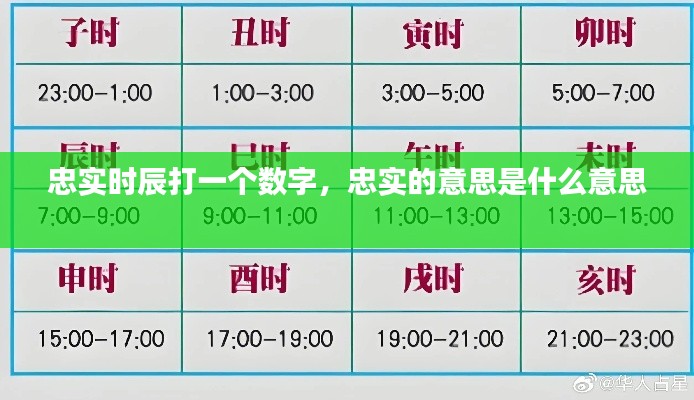忠实时辰打一个数字，忠实的意思是什么意思 