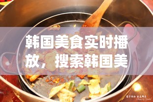 韩国美食实时播放，搜索韩国美食 