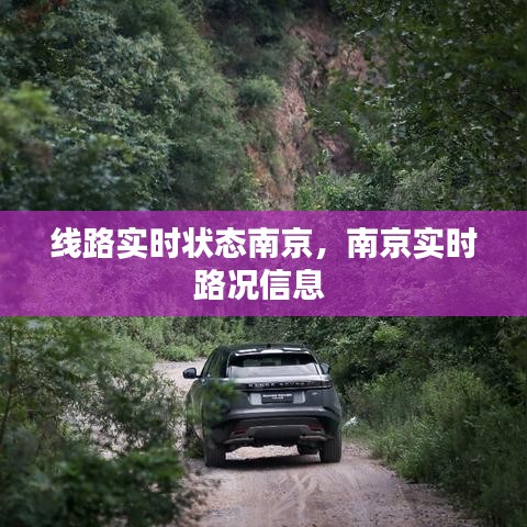 线路实时状态南京，南京实时路况信息 