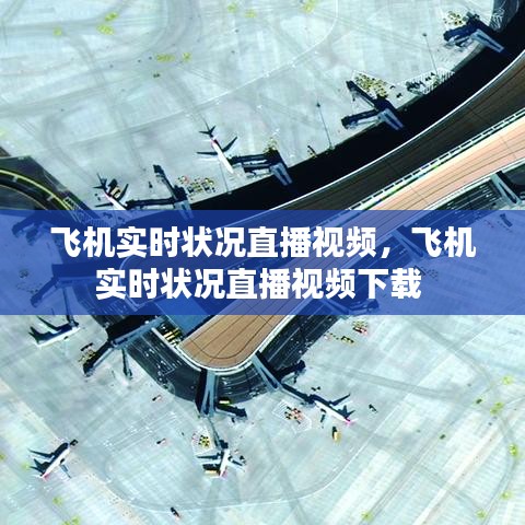 飞机实时状况直播视频，飞机实时状况直播视频下载 