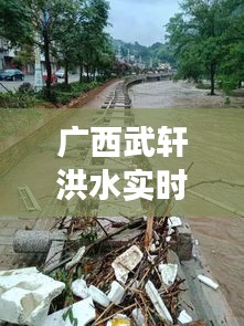 广西武轩洪水实时情况，广西武宣大事 