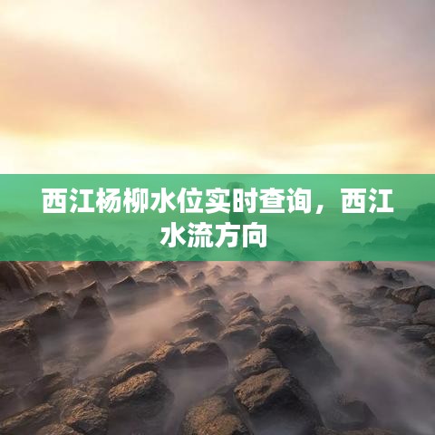 西江杨柳水位实时查询，西江水流方向 