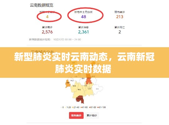 新型肺炎实时云南动态，云南新冠肺炎实时数据 