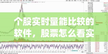 个股实时量能比较的软件，股票怎么看实时量能和资金 