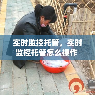 张袂成阴 第2页