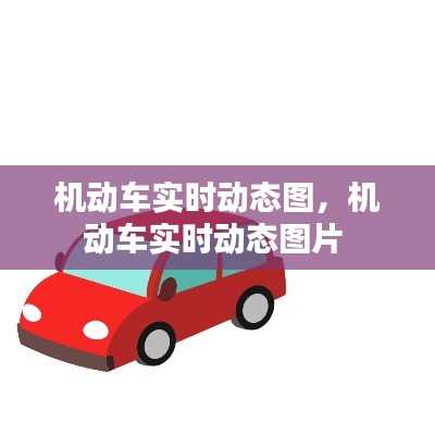 机动车实时动态图，机动车实时动态图片 