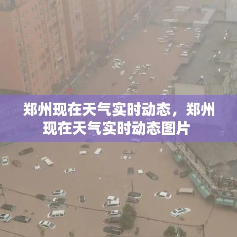 郑州现在天气实时动态，郑州现在天气实时动态图片 