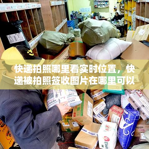 快递拍照哪里看实时位置，快递被拍照签收图片在哪里可以查询 