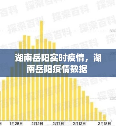 湖南岳阳实时疫情，湖南岳阳疫情数据 