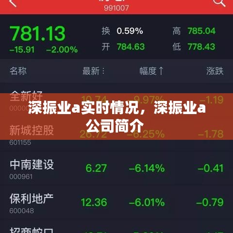 深振业a实时情况，深振业a公司简介 