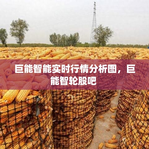 巨能智能实时行情分析图，巨能智轮股吧 