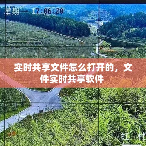 实时共享文件怎么打开的，文件实时共享软件 