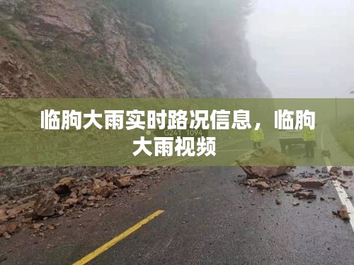 临朐大雨实时路况信息，临朐大雨视频 