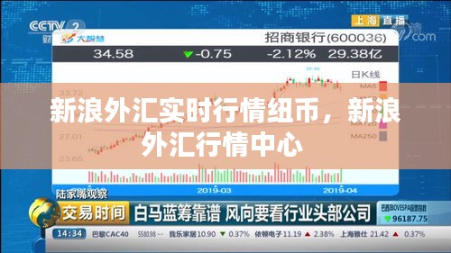 新浪外汇实时行情纽币，新浪外汇行情中心 
