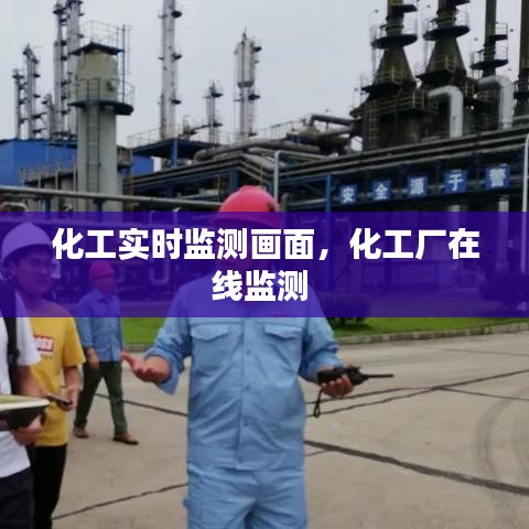 化工实时监测画面，化工厂在线监测 