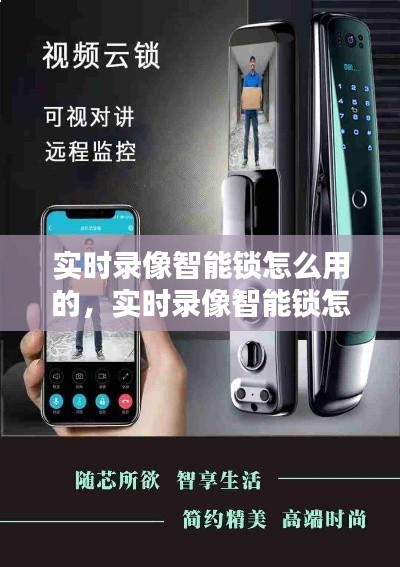 展翅欲飞 第2页