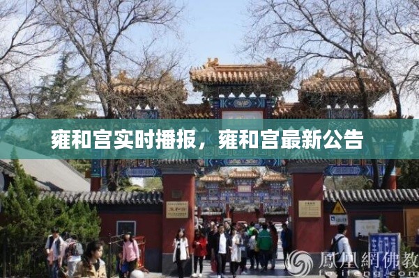 雍和宫实时播报，雍和宫最新公告 