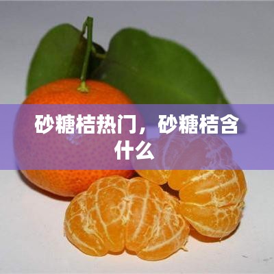 砂糖桔热门，砂糖桔含什么 
