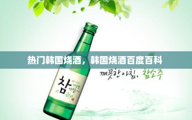热门韩国烧酒，韩国烧酒百度百科 