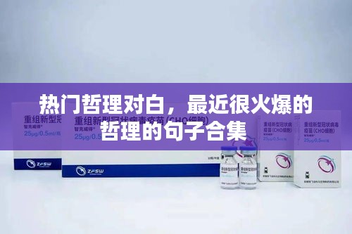 荆钗布裙 第3页