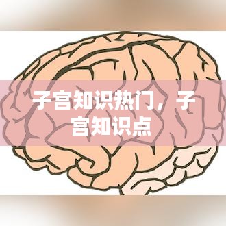 子宫知识热门，子宫知识点 