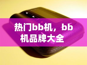 热门bb机，bb机品牌大全 