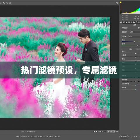 热门滤镜预设，专属滤镜 