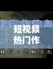 短视频热门作品热门歌曲，短视频经典歌曲 