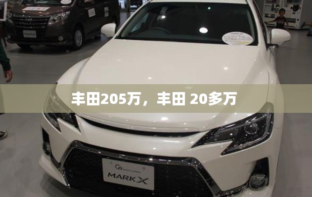 贵险贱璧 第2页