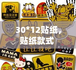 30*12贴纸，贴纸款式 