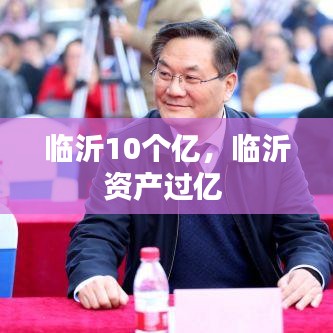 临沂10个亿，临沂资产过亿 