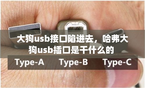 大狗usb接口陷进去，哈弗大狗usb插口是干什么的 