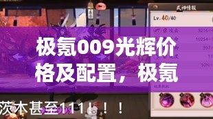 极氪009光辉价格及配置，极氪zero价格 