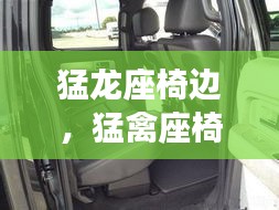 猛龙座椅边，猛禽座椅 