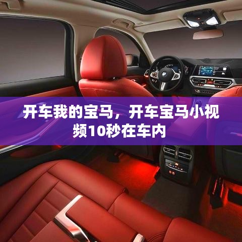 开车我的宝马，开车宝马小视频10秒在车内 