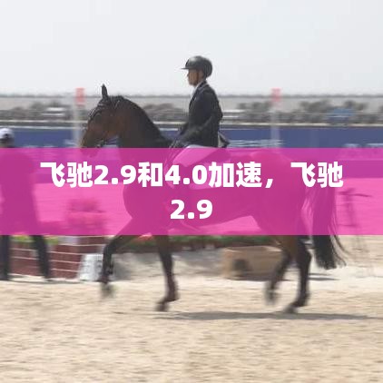飞驰2.9和4.0加速，飞驰 2.9 